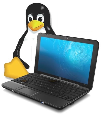 hp-mini-1000-netbook-with-linux